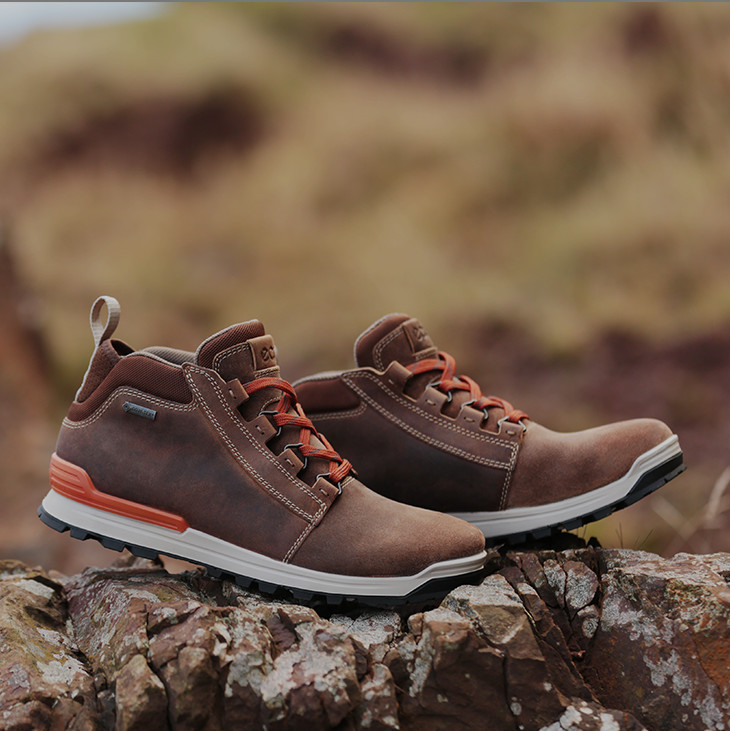 ecco oregon shoes
