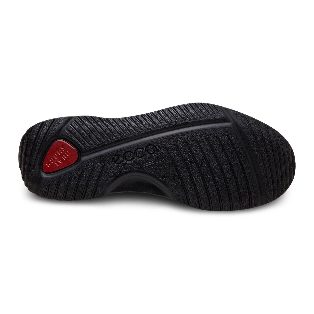 ecco transporter black