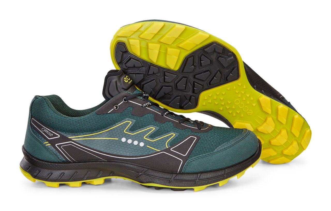 ecco biom trail fl