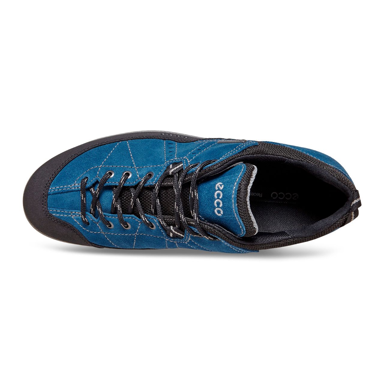 ecco receptor blue