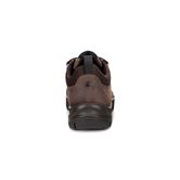 XPEDITION  III MEN (Brown)