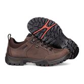 XPEDITION  III MEN (Brown)