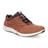 EXCEED MEN'S (Brown)