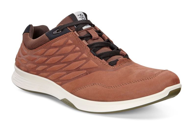 EXCEED MEN'S (Brown)