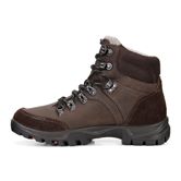 XPEDITION III LADIES (Brown)