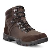 XPEDITION III LADIES (Brown)