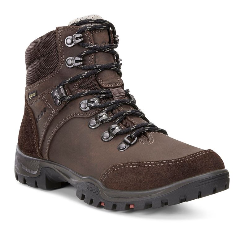 XPEDITION III LADIES (Brown)