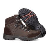 XPEDITION III LADIES (Brown)