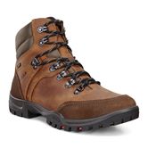 XPEDITION  III MEN (Brown)