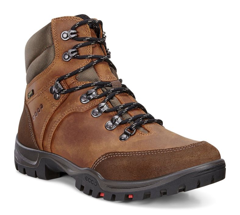 XPEDITION  III MEN (Brown)