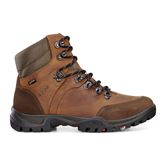 XPEDITION  III MEN (Brown)