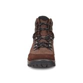 XPEDITION  III MEN (Brown)