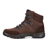 XPEDITION  III MEN (Brown)