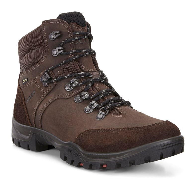 XPEDITION  III MEN (Brown)