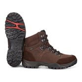 XPEDITION  III MEN (Brown)