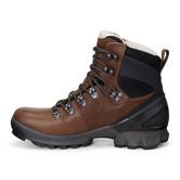 HIKE LADIES (Brown)