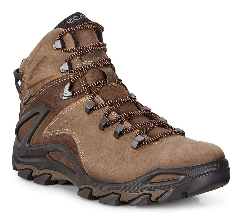 TERRA EVO (Brown)