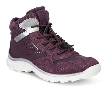 ECCO.com