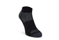 Everyday Quarter Sock