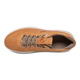 SCINAPSE MEN'S (Brown)