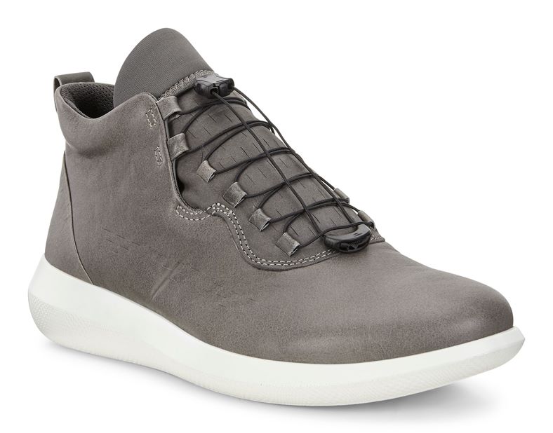 SCINAPSE MEN'S (Grey)