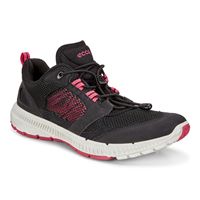 TERRACRUISE II W (Preto)