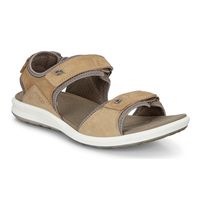 CRUISE II (Castanho)