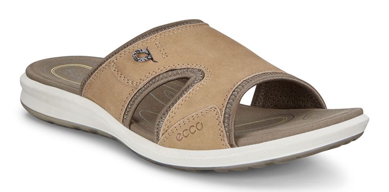 CRUISE II (Castanho)