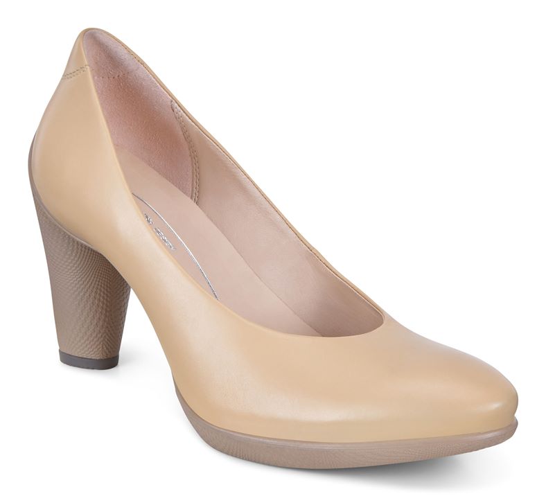 SCULPTURED 75 (Castanho)