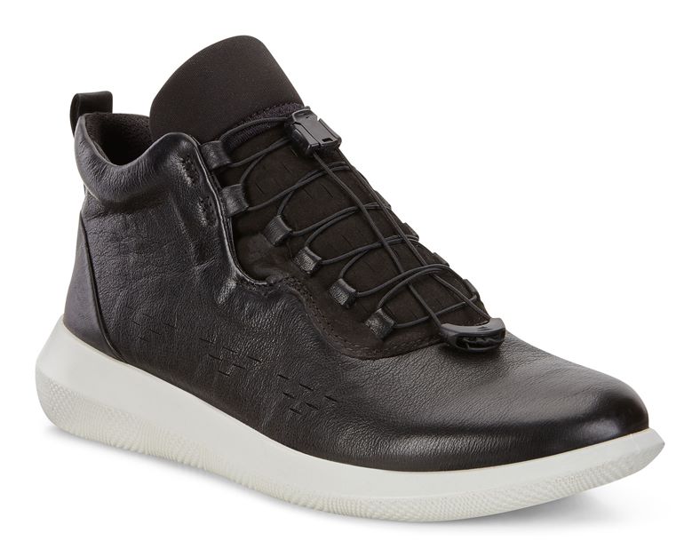 SCINAPSE LADIES (Preto)