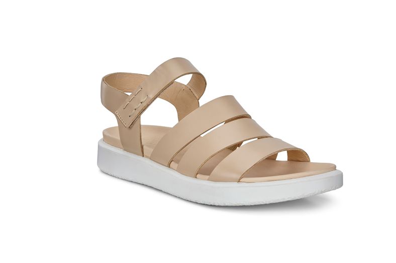 FLOWT LX W (Castanho)