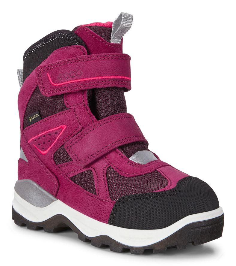 SNOW MOUNTAIN (Roxo)