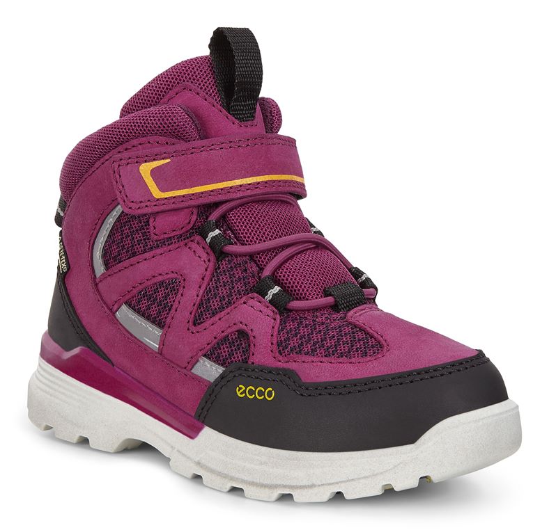 URBAN HIKER (Roxo)