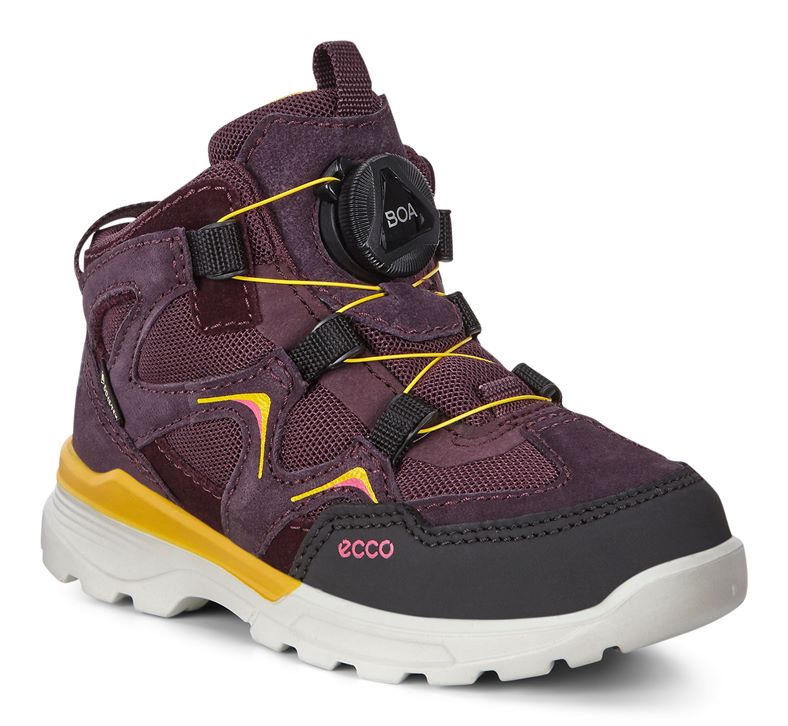 URBAN HIKER (Roxo)