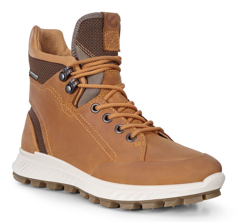 EXOSTRIKE KIDS (Castanho)