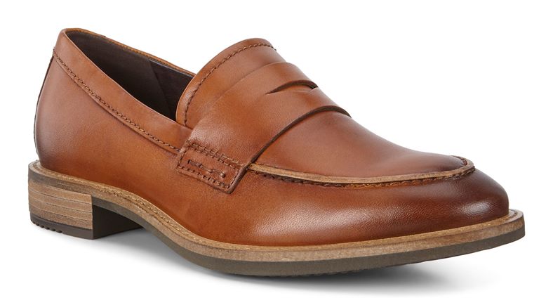 SARTORELLE 25 TAILORED (Castanho)