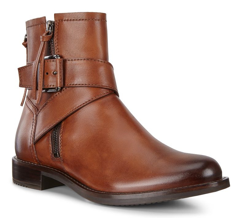 SARTORELLE 25 (Castanho)