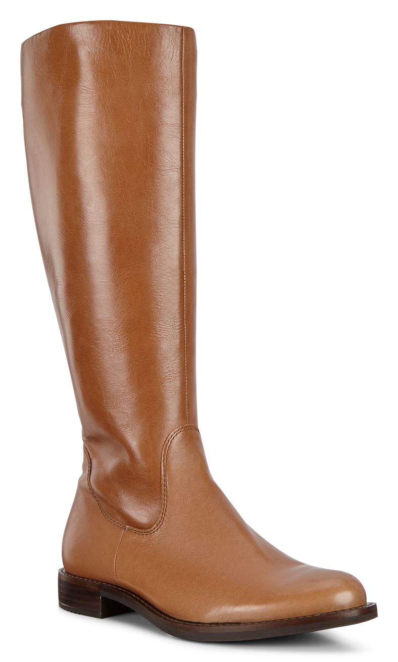 SARTORELLE 25 (Castanho)