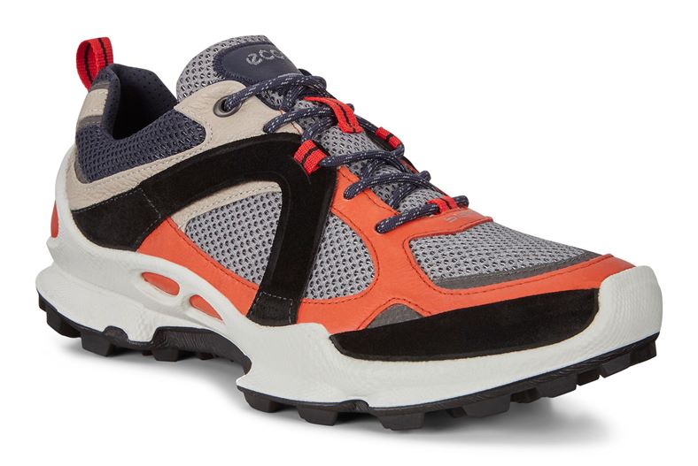 BIOM C-TRAIL M (Multicor)