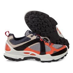 BIOM C-TRAIL M