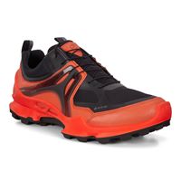 BIOM C-TRAIL M