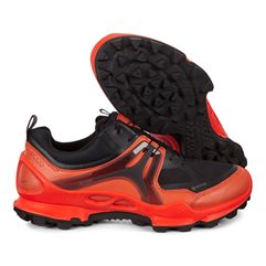 BIOM C-TRAIL M