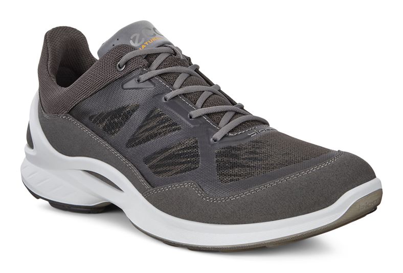 BIOM FJUEL M (Cinzento)