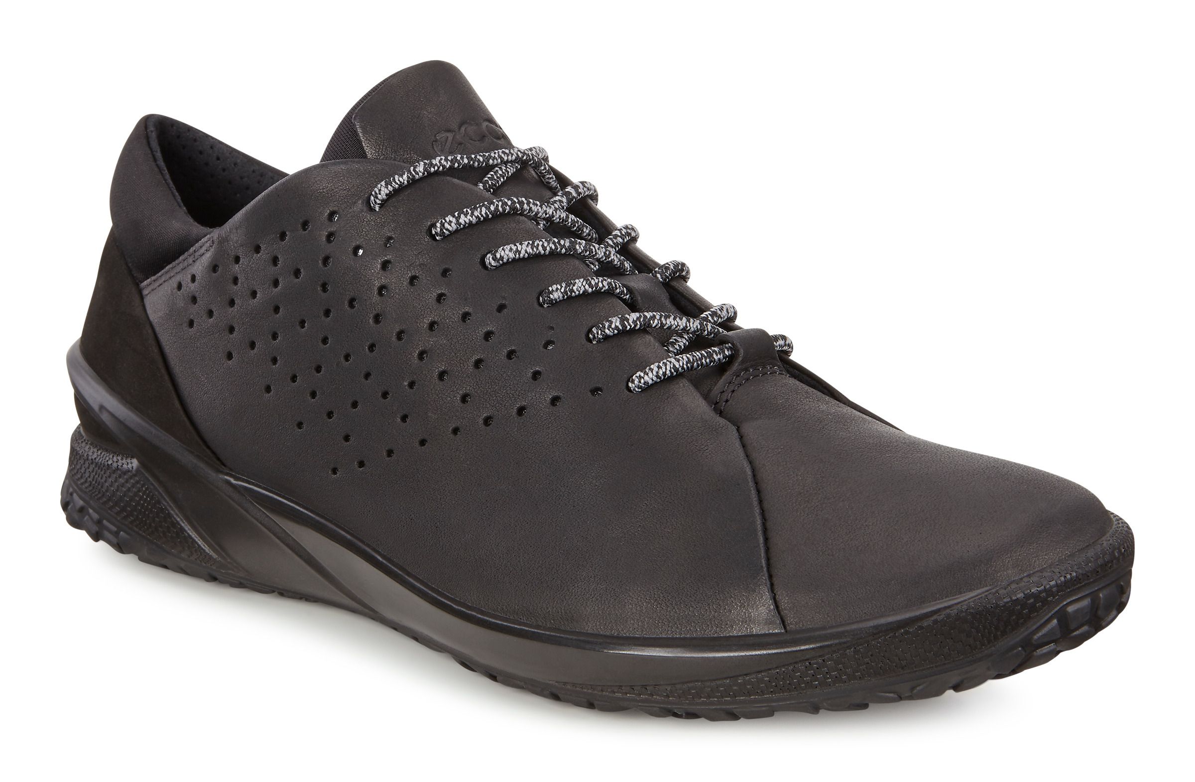 ecco biom life