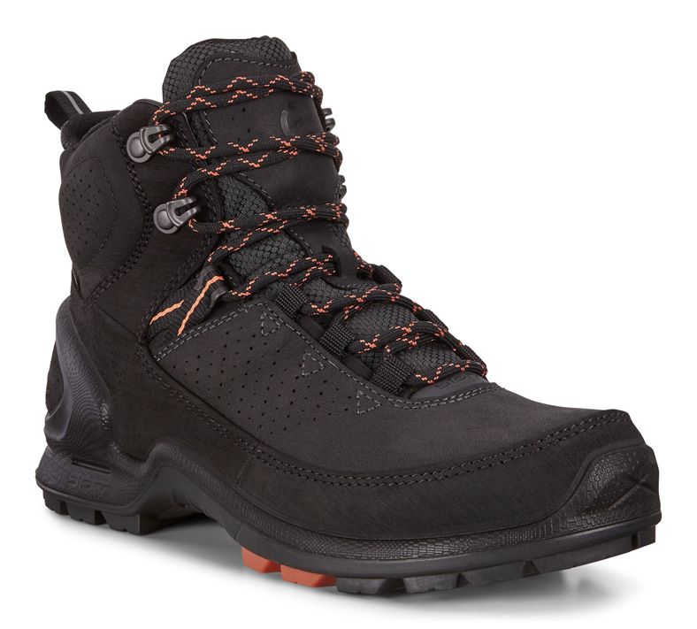 BIOM TERRAIN W (Preto)