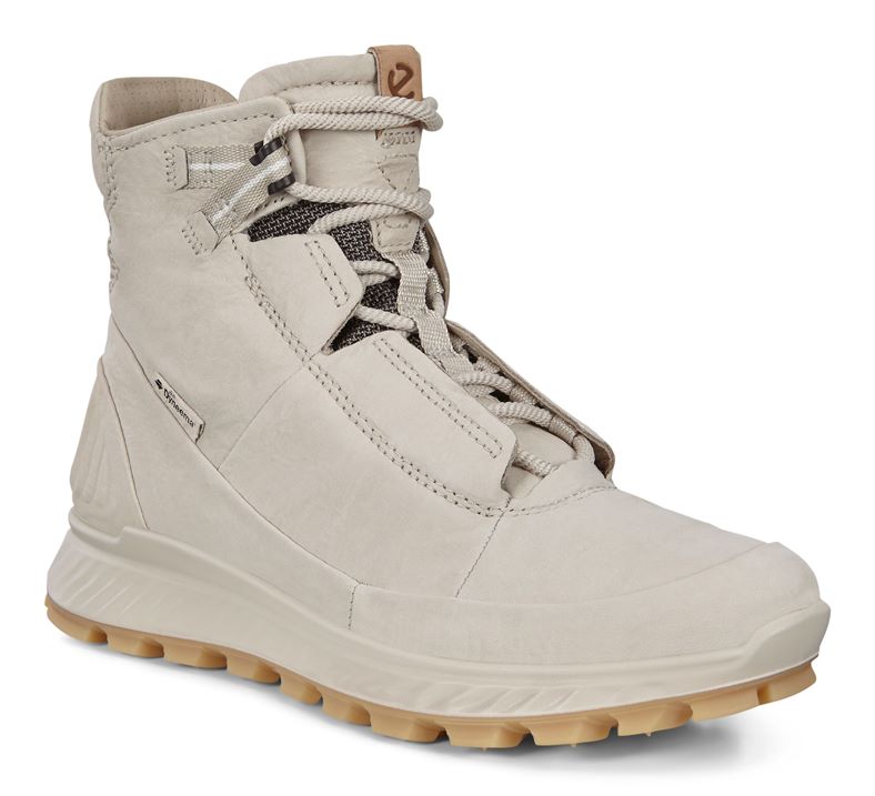 EXOSTRIKE W (Cinzento)