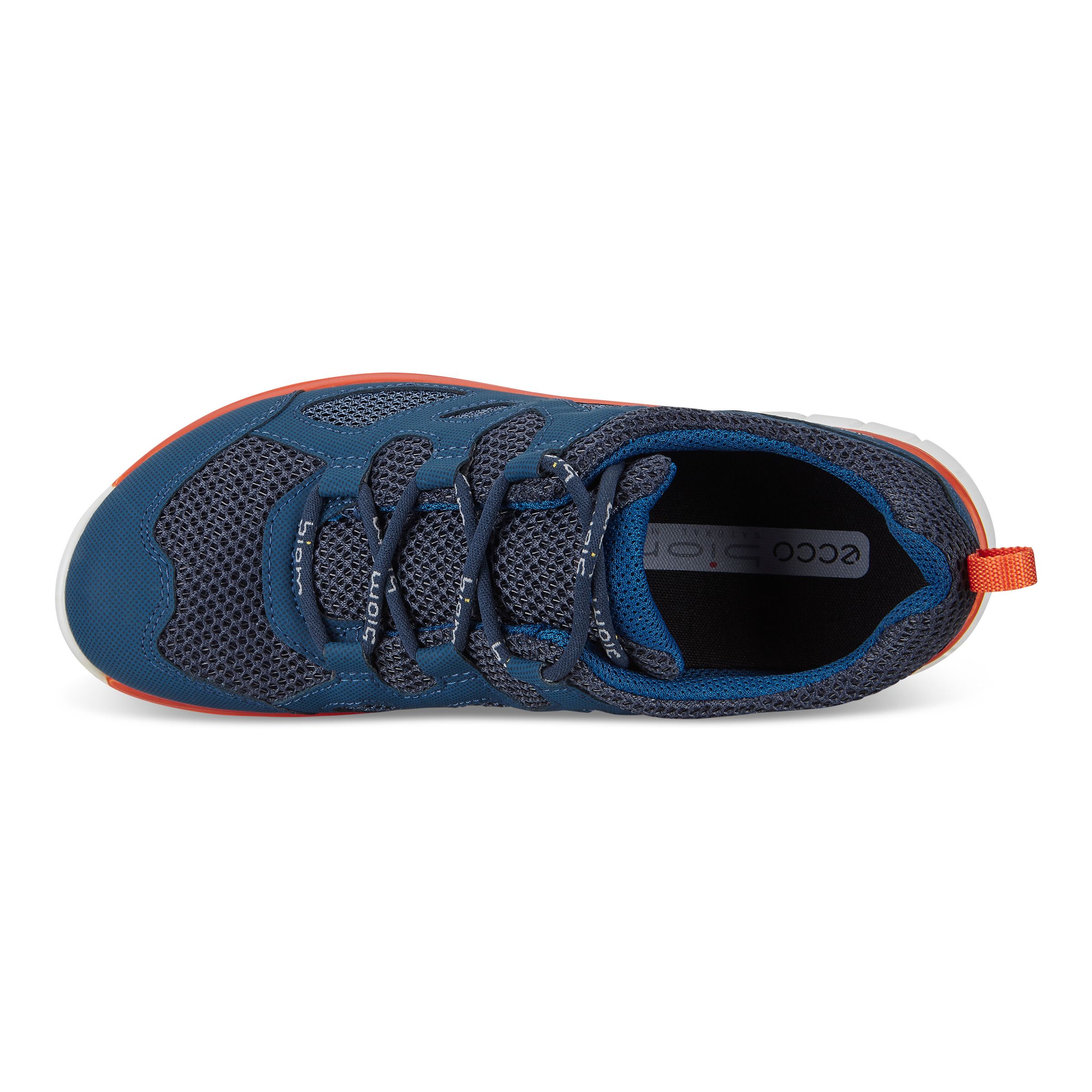 ecco biom trail kids