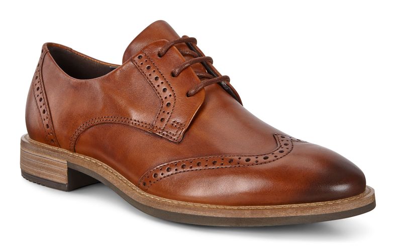 SARTORELLE 25 TAILORED (Castanho)