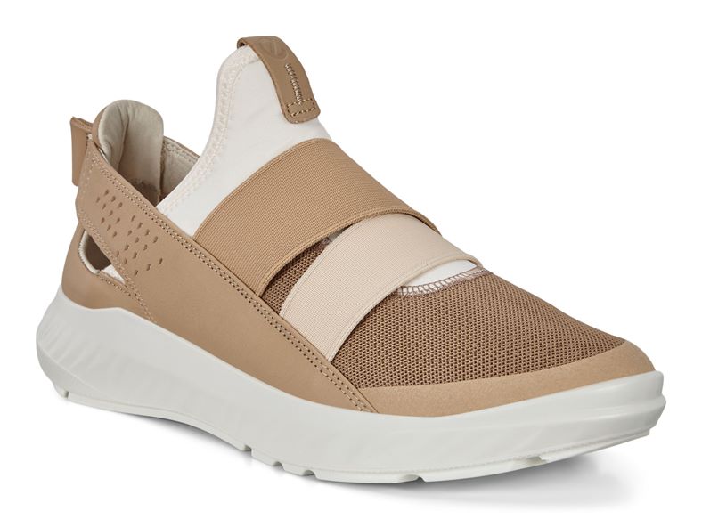 ST.1 LITE W (Castanho)