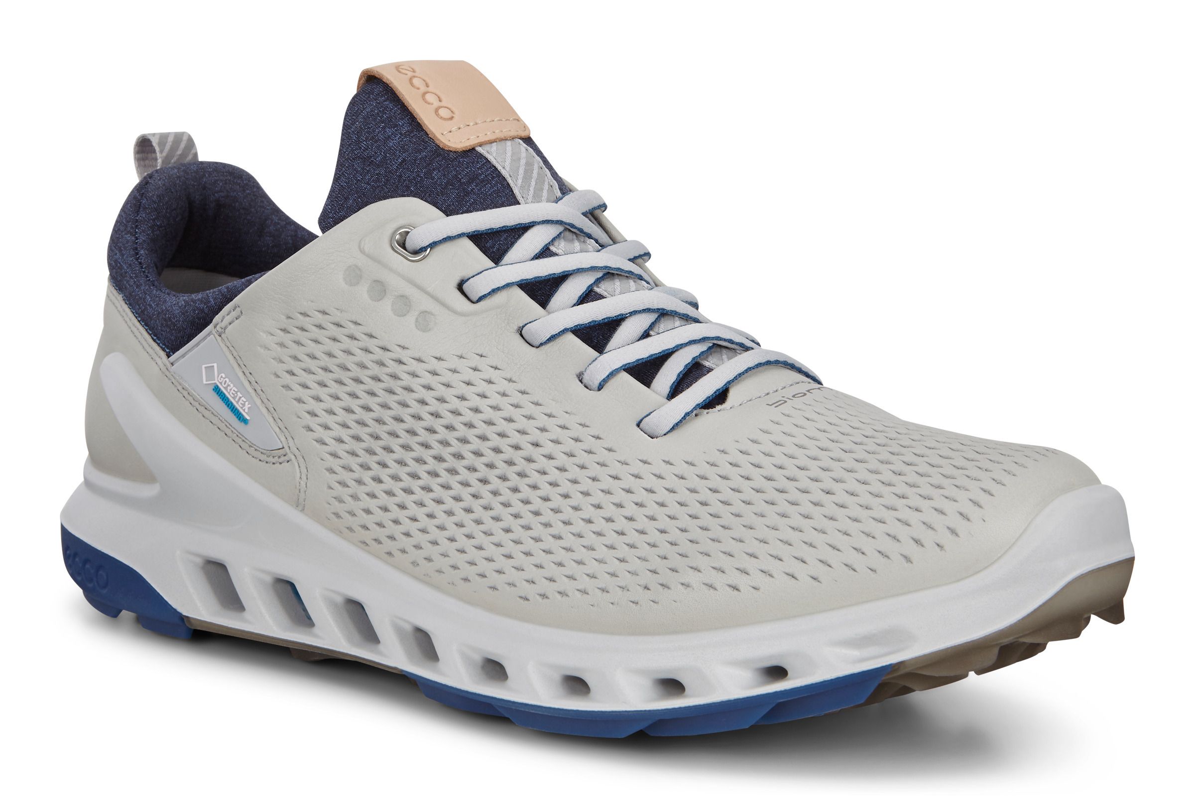 ecco biom gore tex surround